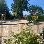 Pomme De Pin Stella-Plage