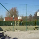 Pomme De Pin