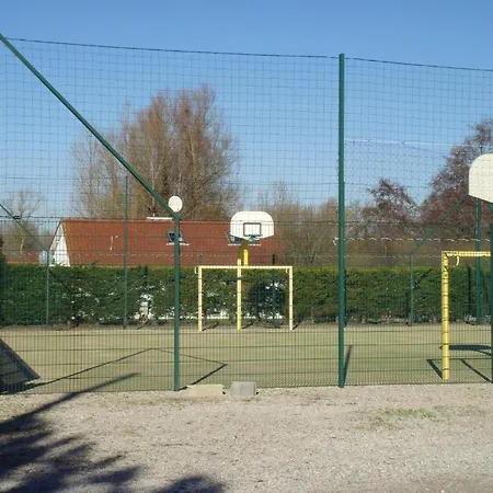 Pomme De Pin