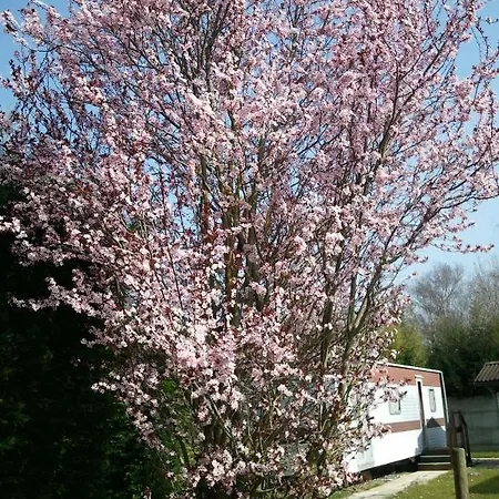 Pomme De Pin Camping 3*